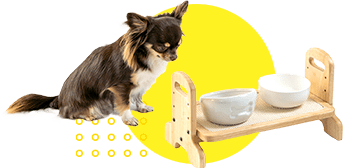 犬