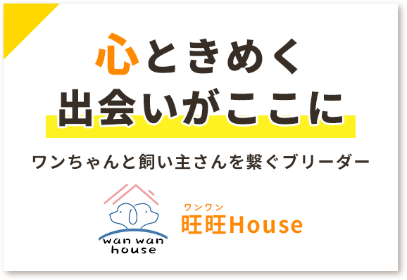 心ときめく出会いがここに ワンちゃんと飼い主さんを繋ぐブリーダー旺旺House